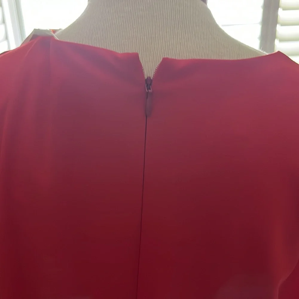 Red Dress - Picture 5 of 6